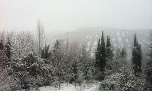 Alerta amarilla por nevadas enla provincia de Jaén