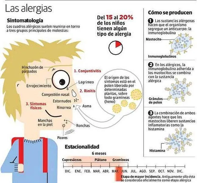 El polen de ciprés inaugura la temporada de alergias en Granada