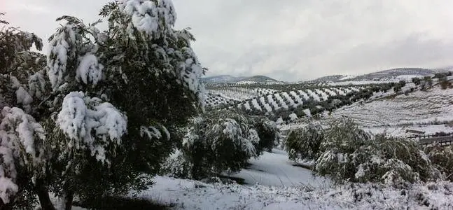 Jaén se viste de blanco con el temporal