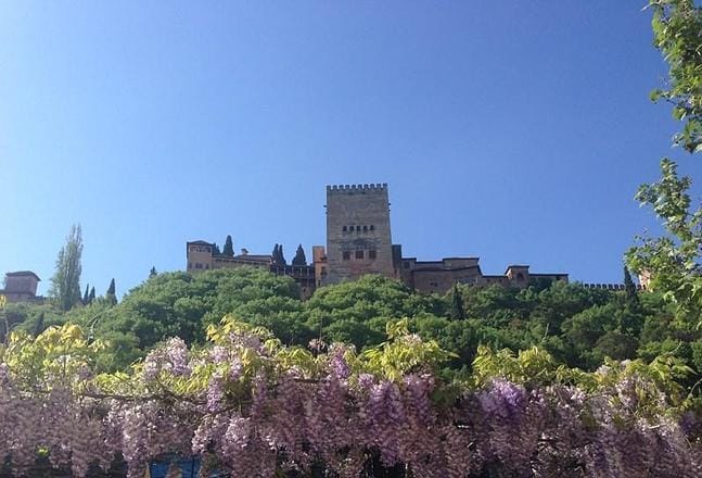 Florece la Alhambra