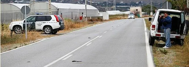 Investigan la extraña aparición de decenas de pájaros muertos en Motril