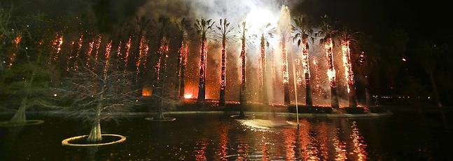 Otro incendio quema 40 palmeras en Motril