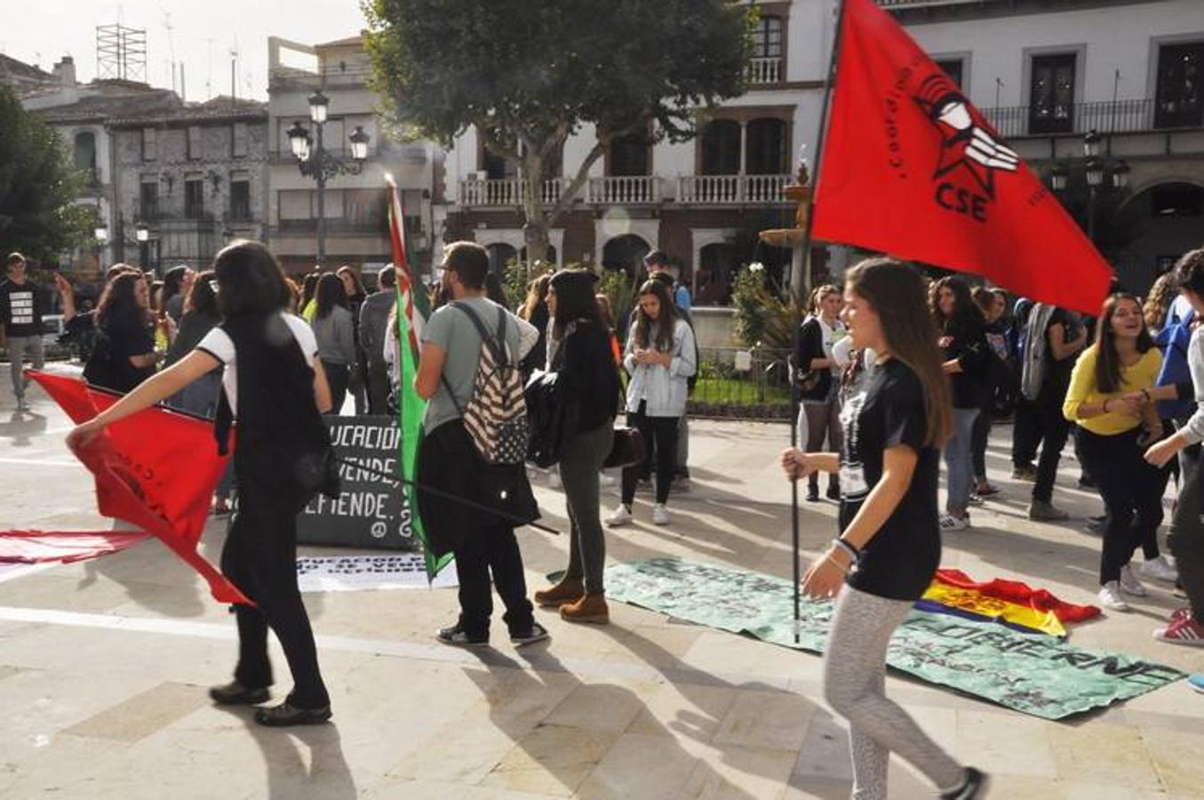 Medio millar de alumnos protestan en Baza contra la LOMCE