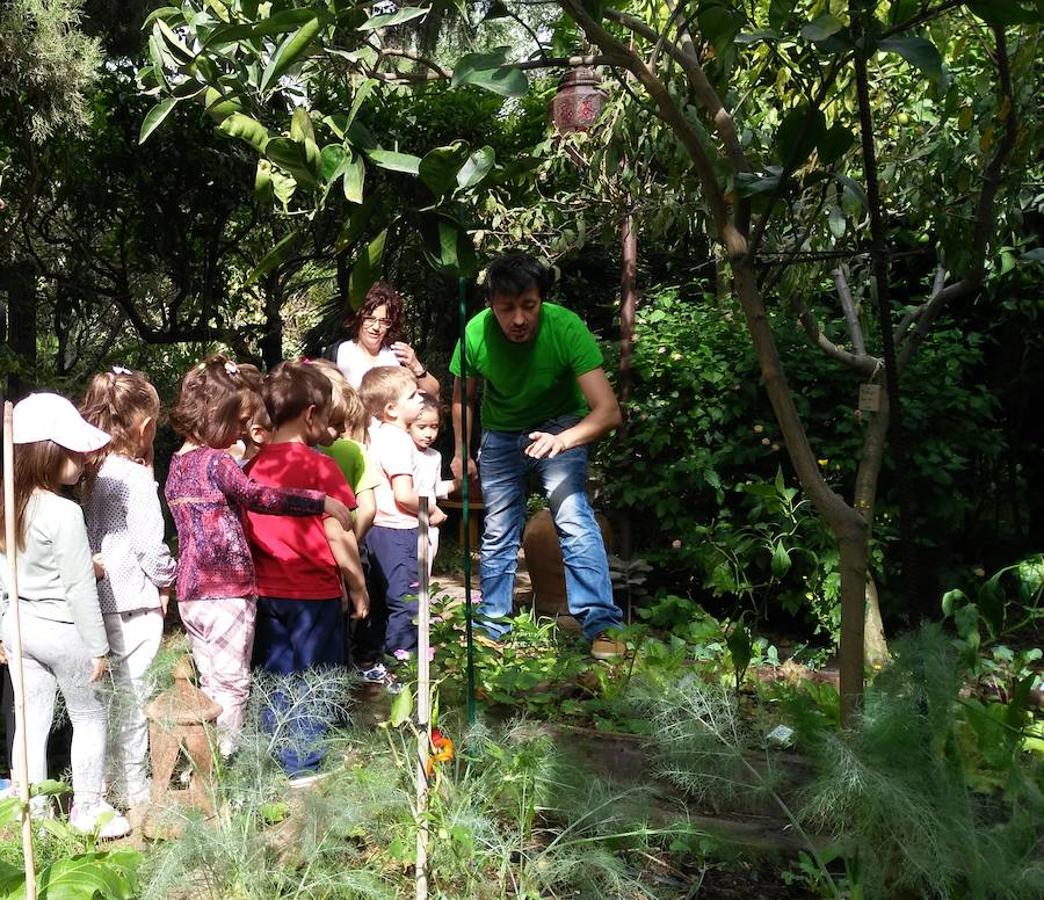 Los pequeños exploran el jardín botánico 'La Almunya del Sur'